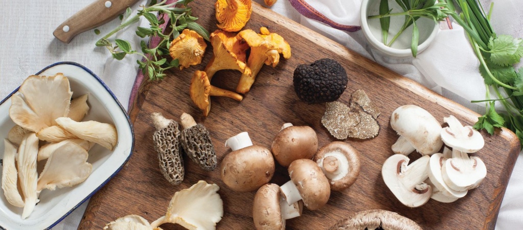 Замена мяса грибами, грибы как альтернатива животному белку, белок из грибов